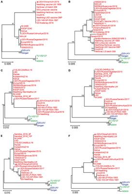 Retrospective genomic analysis of the first Lumpy skin disease virus outbreak in China (2019)